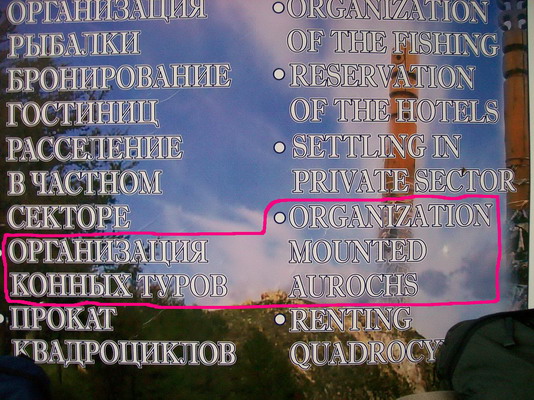 100_1824.jpg