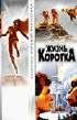 Жизнь коротка